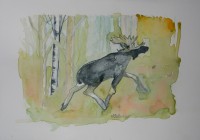 /album/azetterberg/algtider-a-z-akvarell-okt-2012-jpg/